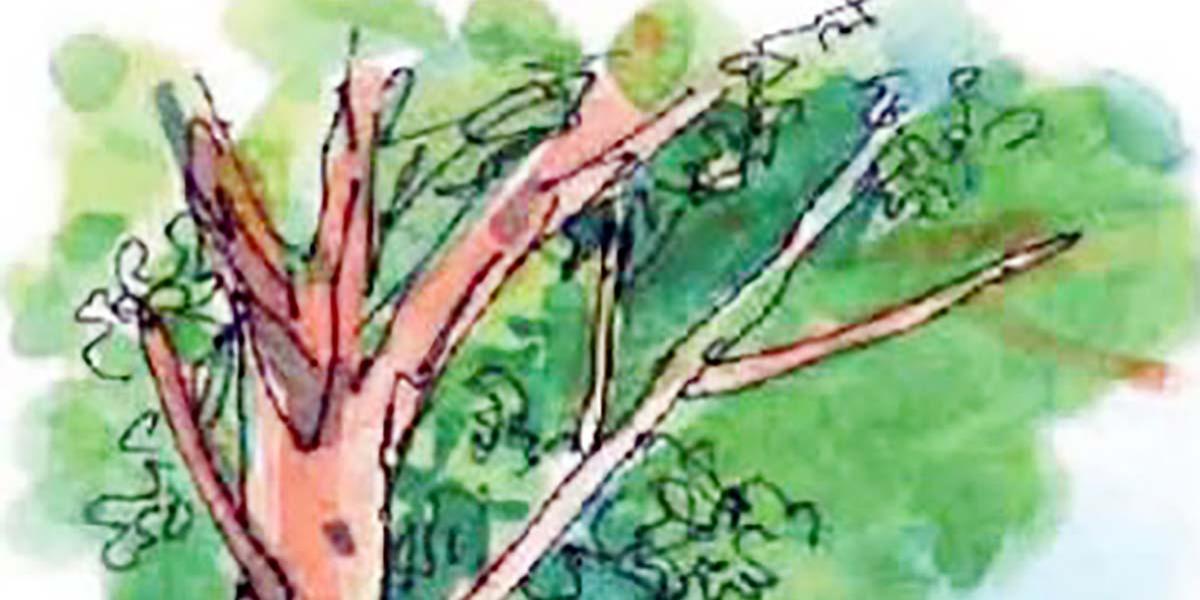 স্বদেশ কবিতার ২টি বর্ণনামূলক প্রশ্ন ও উত্তর, ৩য় পর্ব, পঞ্চম শ্রেণির বাংলা